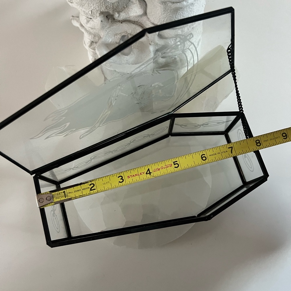 Unholy Glass Death’s Hand Coffin - Picture 4 of 8